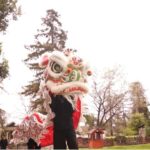 Orchard School Asian Cultural Dance Troupe's Lion Dancers